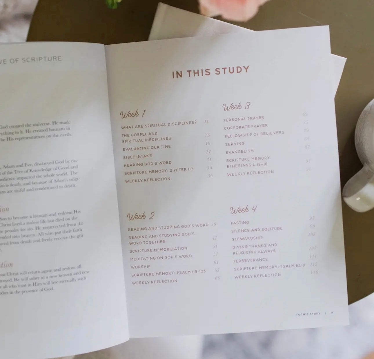 Growing in Grace Study
