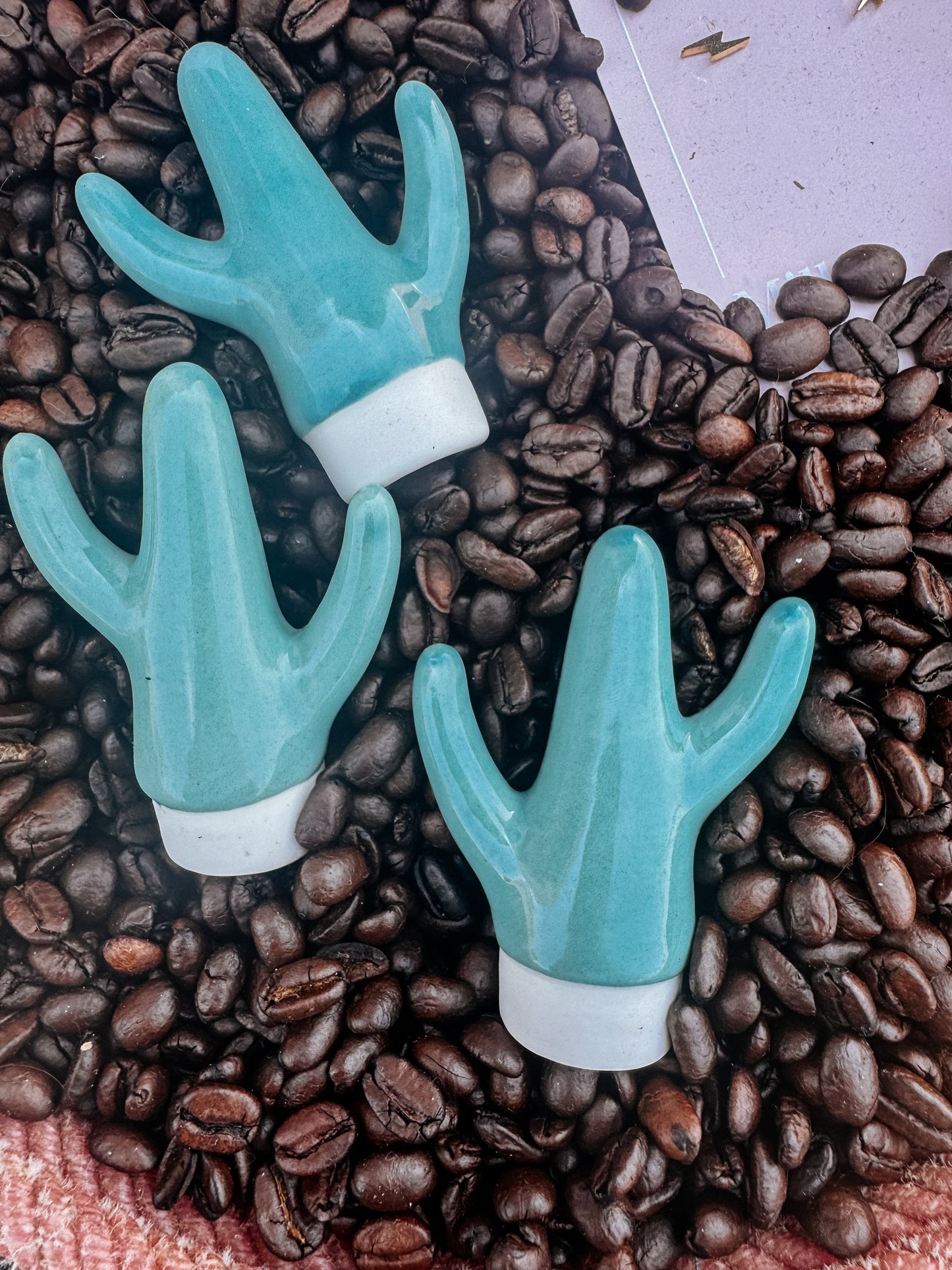 Cactus Ring Holders