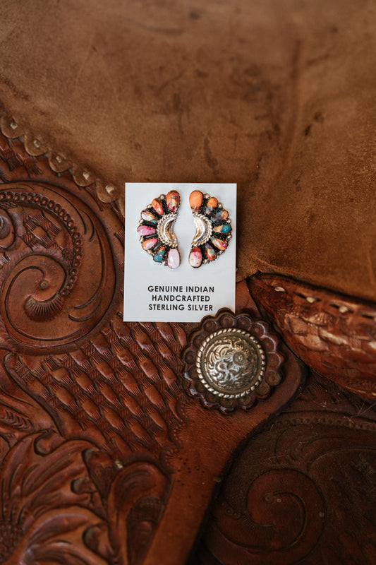 Painted Mesa Earrings