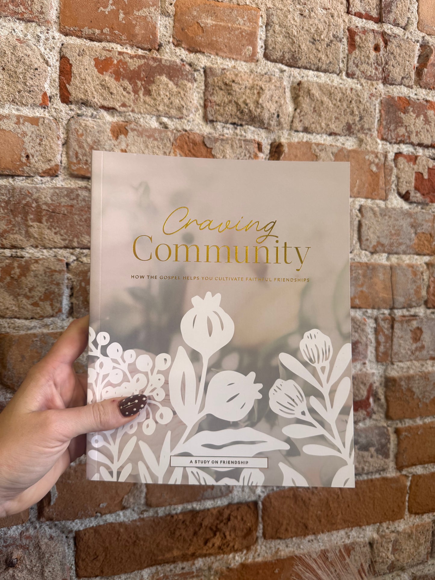 Craving Community Bible Study
