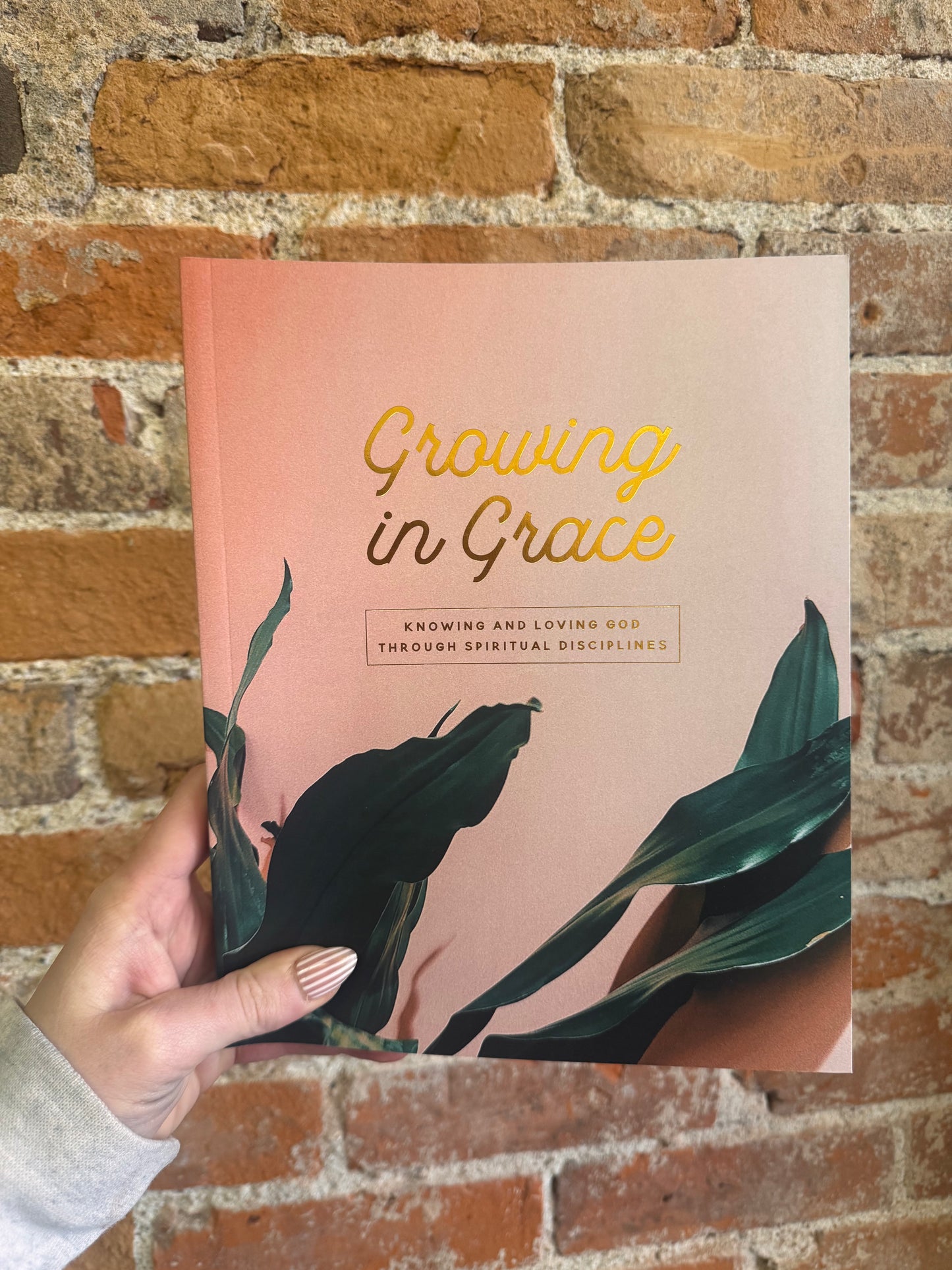 Growing in Grace Study